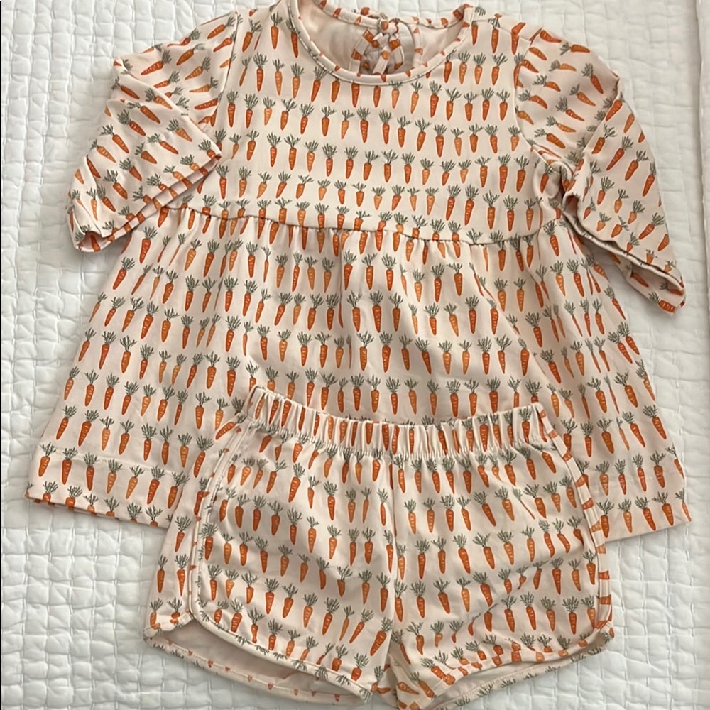 Carrot Print Top and Shorts Set